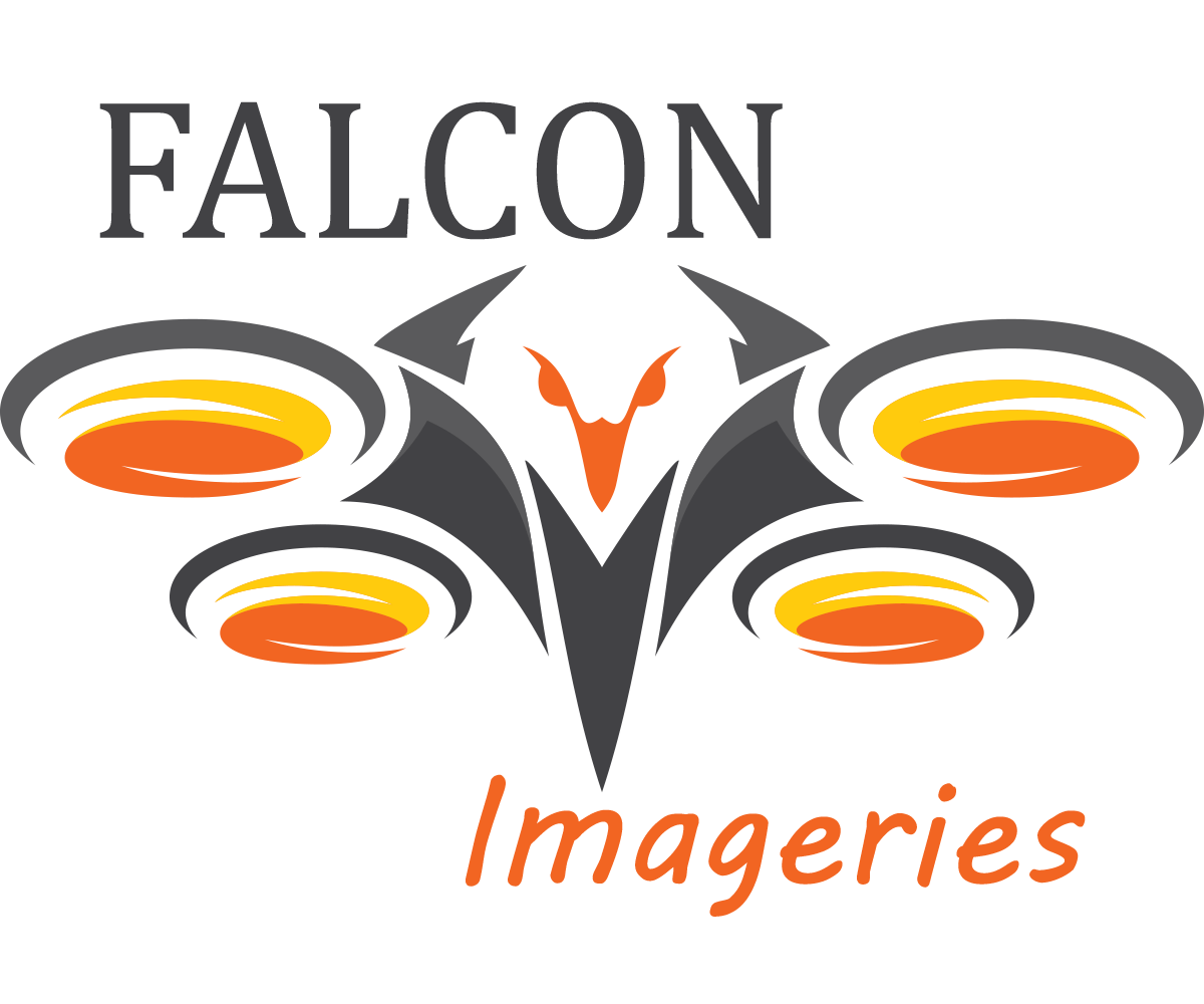 Falcon Imageries